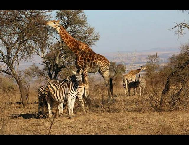 2 BEDROOM HOUSE FOR SALE IN KUDU PRIVATE NATURE RESERVE